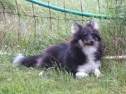 DSC06047.JPG
