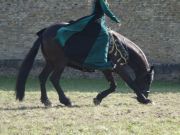 DSC04524.jpg