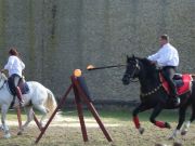 DSC04630.jpg