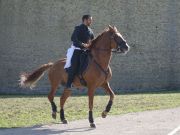 DSC04660.jpg