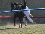 DSC04714.jpg