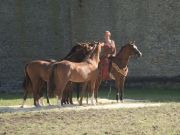 DSC04755.jpg