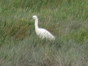IMG_0023.JPG