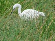 IMG_0027.JPG