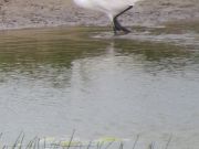 IMG_0035.jpg