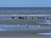img_0949_0