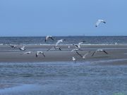 img_0977