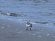 img_1005