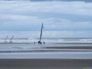img_2333