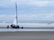 img_2339