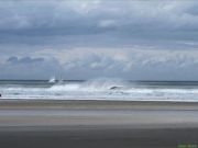img_2355