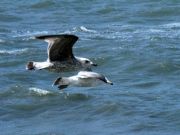 img_0380