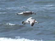 img_0381