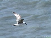 img_0398