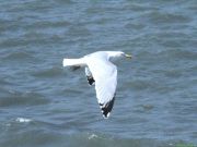 img_0405