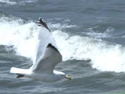 img_0416