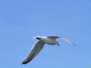 img_0424