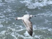 img_0430