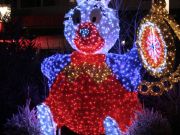 img_0493