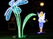 img_0531