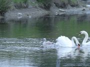 img_4151