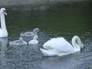 img_4183