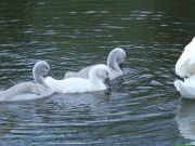 img_4207