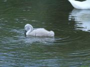img_4214