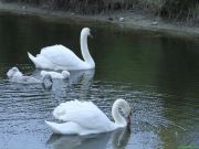 img_4259