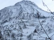 IMG_0011_2.jpg