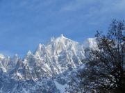 IMG_0018.JPG