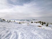 IMG_0025.JPG