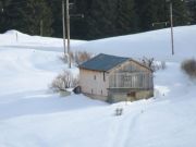 IMG_0039.JPG