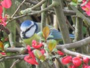 IMG_0015