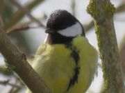 IMG_0004