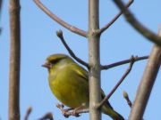 IMG_0007