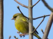 IMG_0008