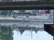 img_5551