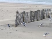 img_4762