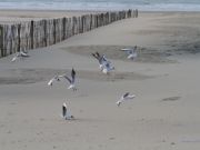 img_4767