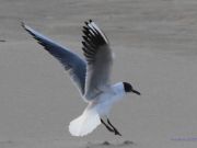 img_4768-ter