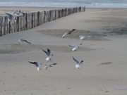 img_4768