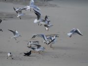 img_4796