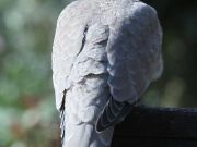 img_5328