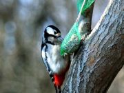 img_5340