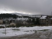 P1010007.JPG