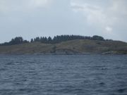 DSC01790