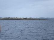 DSC01794
