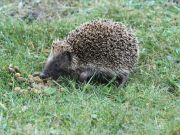 img_0023